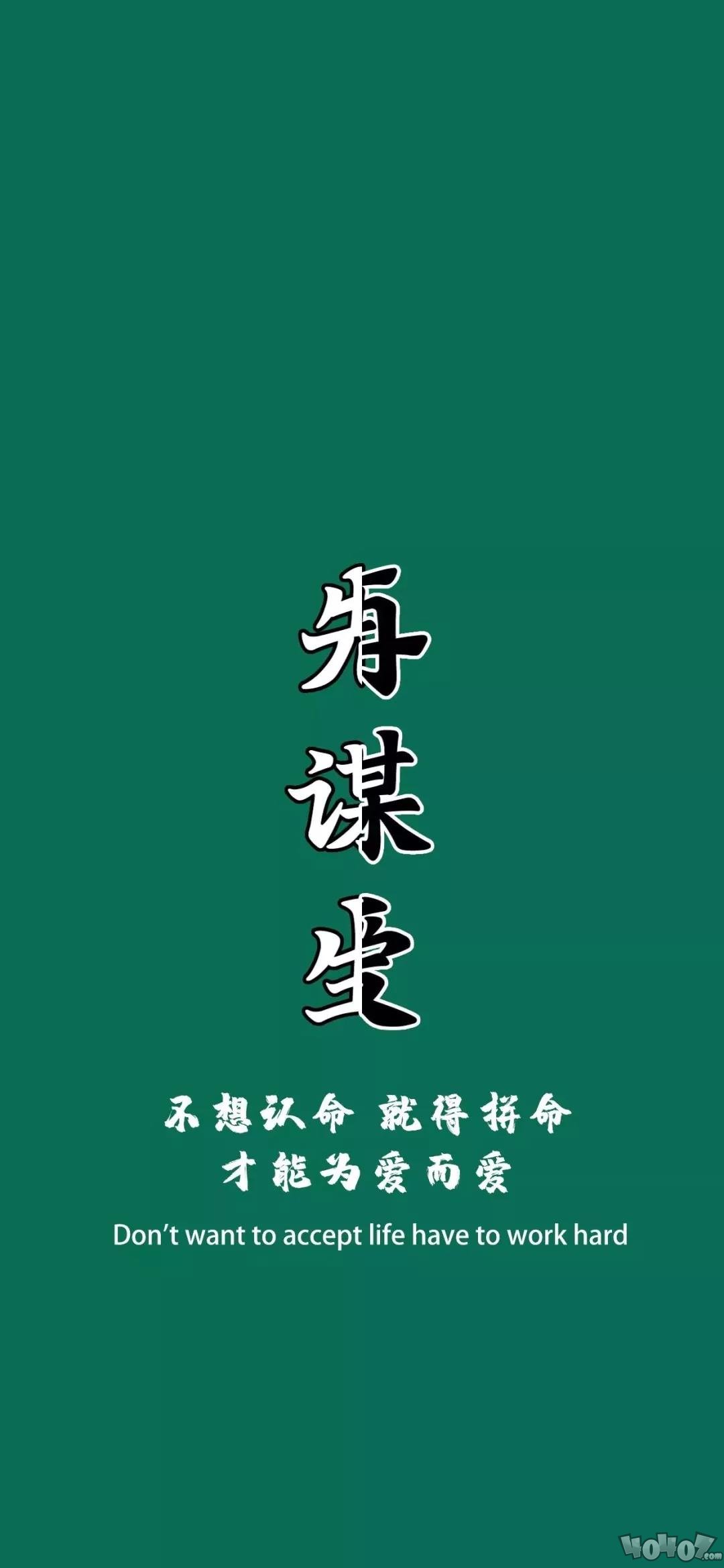 抖音先谋生再谋爱壁纸-40407游戏网