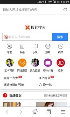 秘密浏览器截图