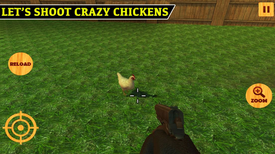 Shoot Chicken