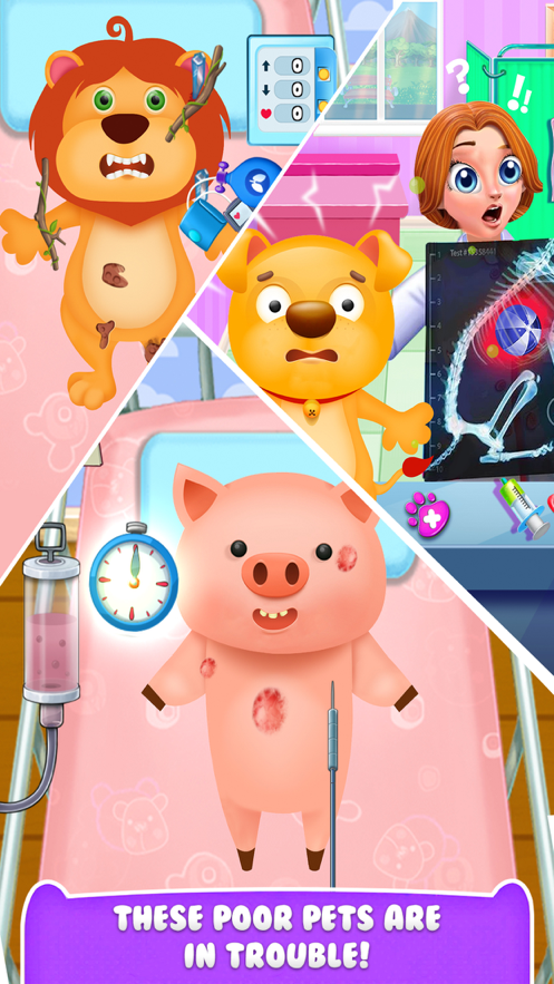 动物护理宠物医院