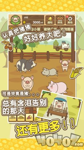 养猪场MIX
