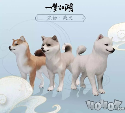 《一梦江湖》新宠物柴犬图文展示