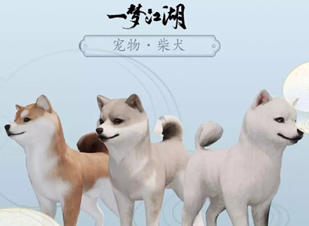 一梦江湖新宠物柴犬图文展示