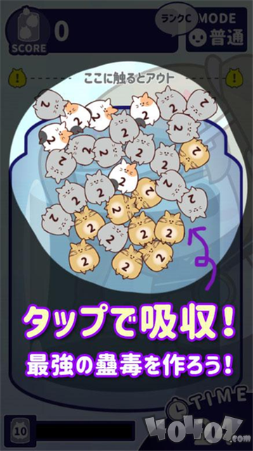 猫蛊毒游戏