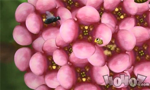 爱吃花蜜的小虫子