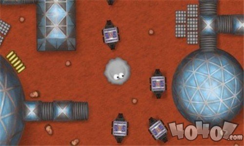 爱吃花蜜的小虫子