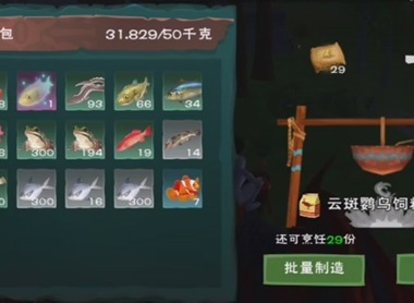 创造与魔法云斑鹦鸟饲料配方