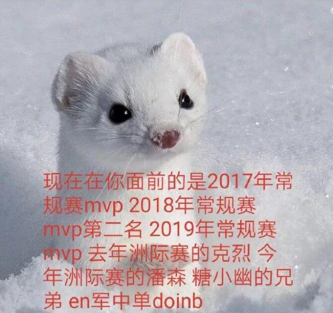 英雄联盟Doinb直播谈自己膨胀谈到RNG以及IG的状态