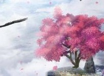 神雕侠侣2奇遇任务天之骄女怎么做