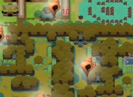 塞尔达传说织梦岛不可思议森林和果彭加沼泽贝壳在哪里？