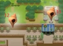 塞尔达传说织梦岛托隆波海滩贝壳在哪里？