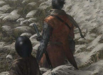 只狼爱哭鬼的指环在哪？