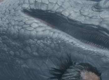 只狼白蛇不见了？