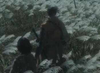 只狼水生村在哪？