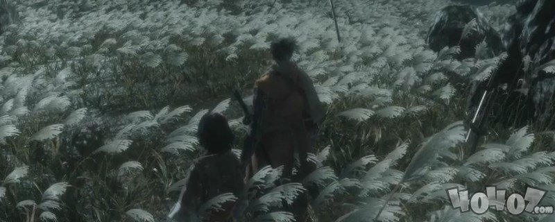 只狼水生村在哪