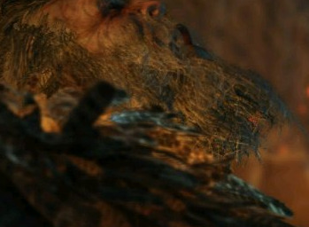 只狼二周目有什么变化？