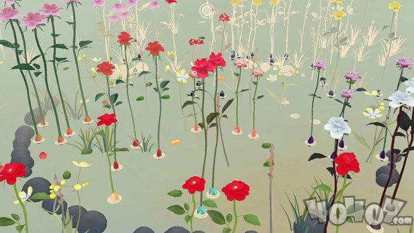 玫瑰花园