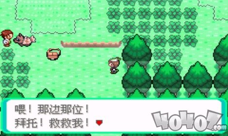 口袋妖怪神兽领域