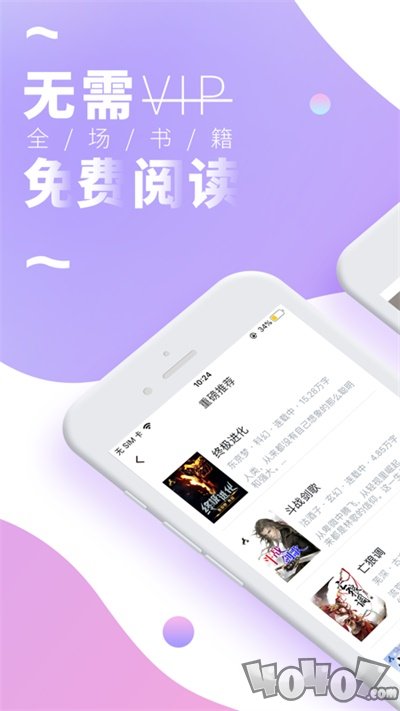 小说阅读王