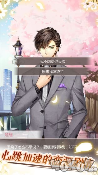 猫咪异闻