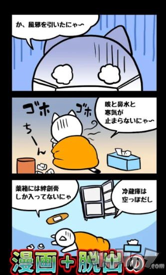 猫与废弃医院