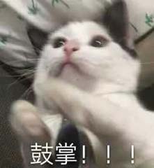 多多自走棋新版本新模式新玩法！羁绊设置！画面专项优化
