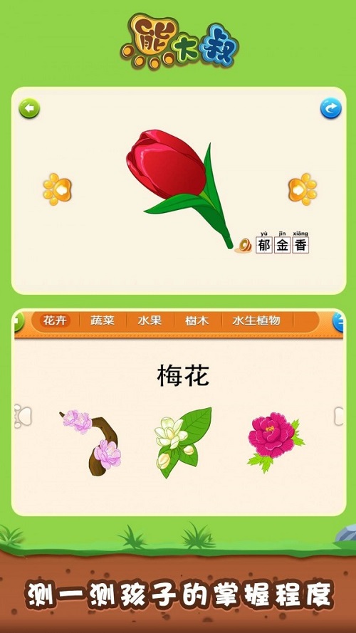 宝宝植物拼图截图