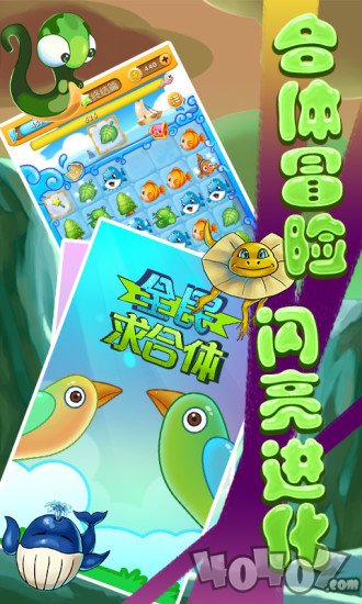 求合体