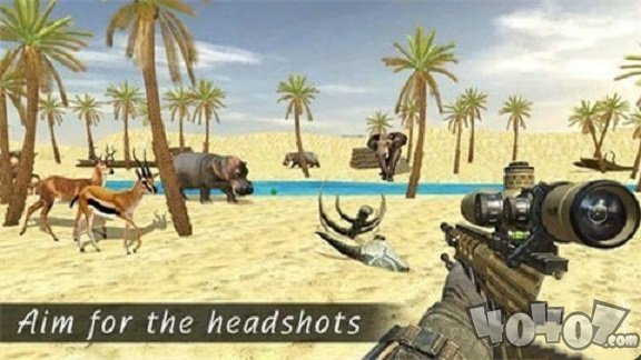 SafariHunt3D