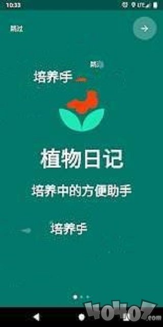 植物日记