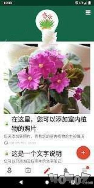 植物日记