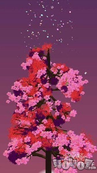 沾花惹草2