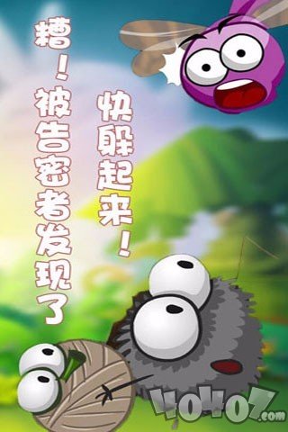 蜘蛛仔豆豆