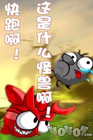 蜘蛛仔豆豆