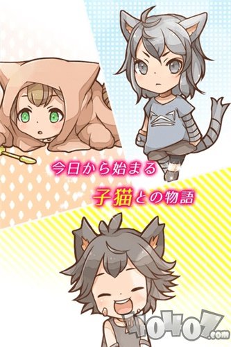 我与小猫共处一室