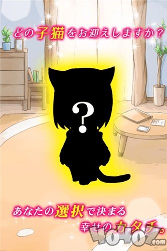 我与小猫共处一室