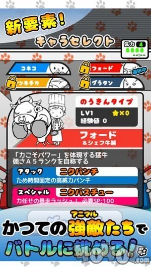 猫咪面包动物之王
