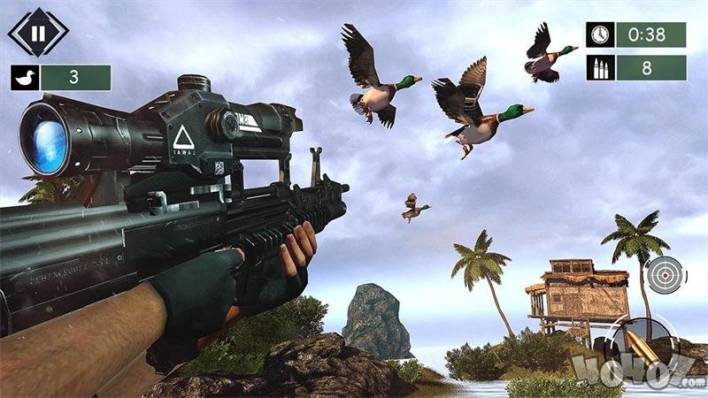 野生动物园射击