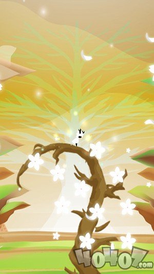 花开世界