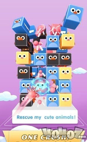 疯狂鸟大师