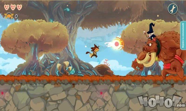 疯狂的梦魔法猫咪