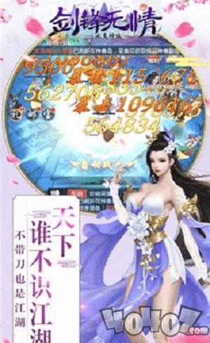 九灵神域剑锋无情