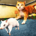 猫鼠大对决