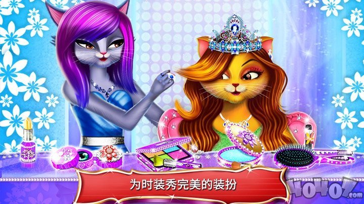 我的明星猫超模