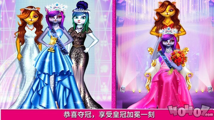我的明星猫超模