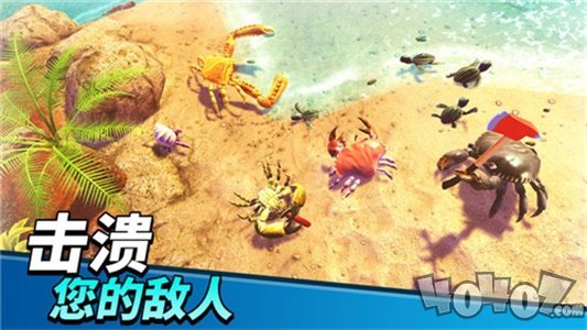 螃蟹之王