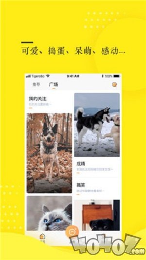 蛋挞视频