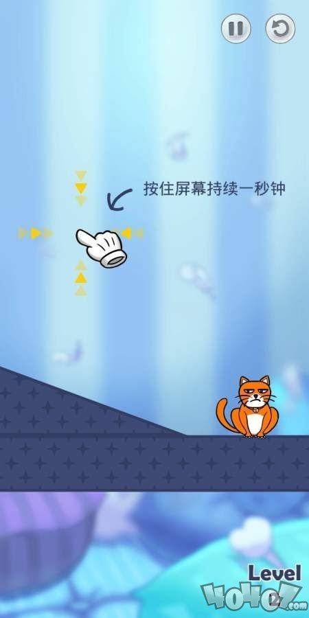 你好猫咪