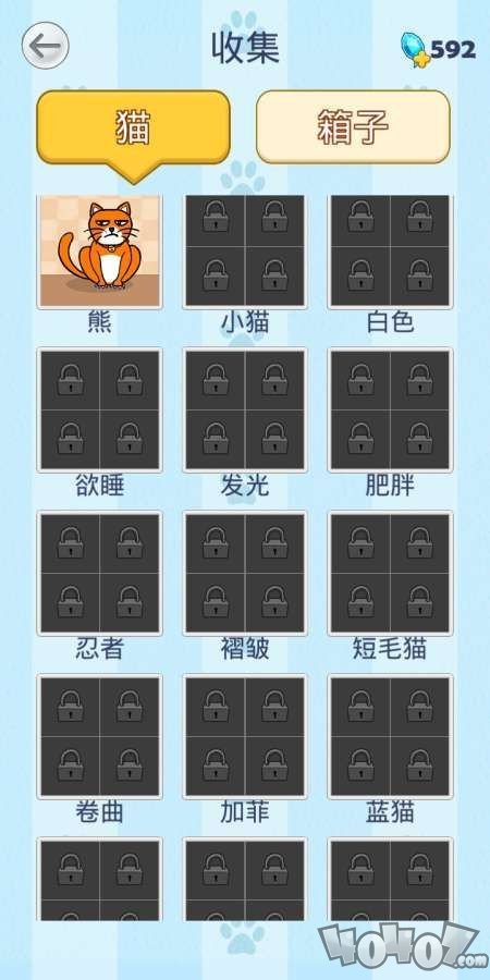 你好猫咪