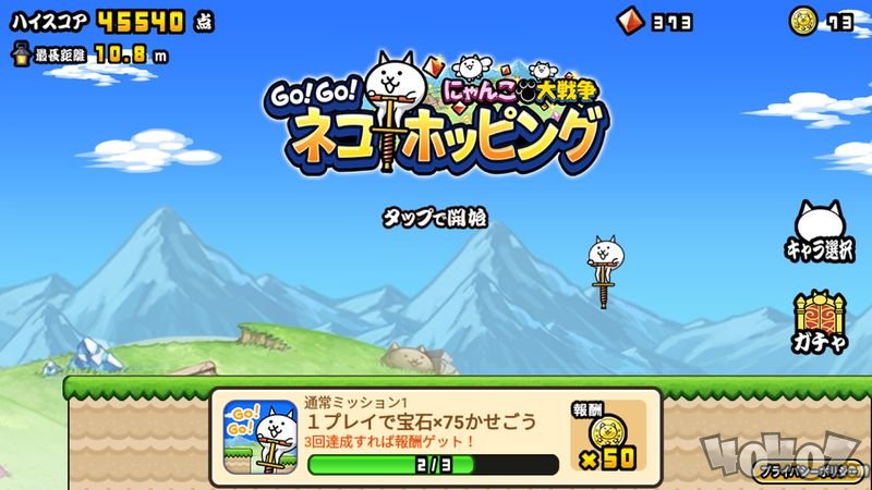 猫咪弹力车